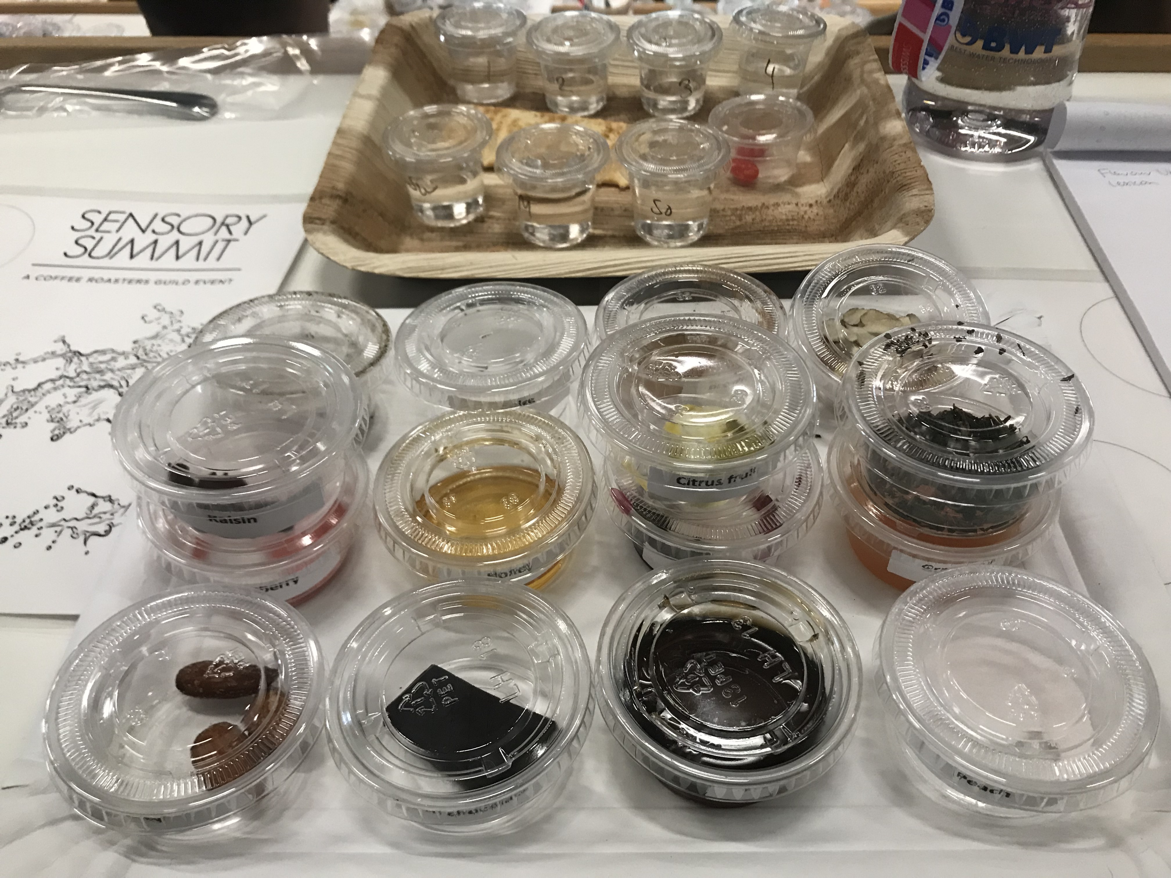 szkolenie sensoryka kawy<