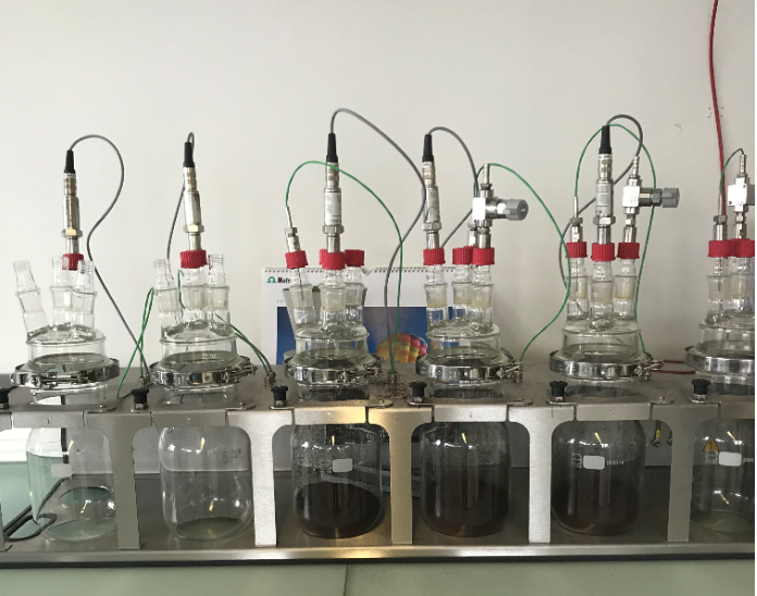 badania świeżości kawy laboratorium<